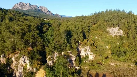 Forest Over the Cliff and Mountain in Background  Aerial View Video stock 130106442
