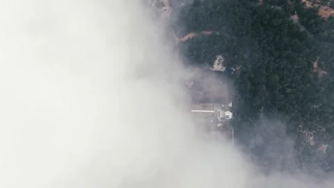 Forest over the clouds 库存影片 315867406