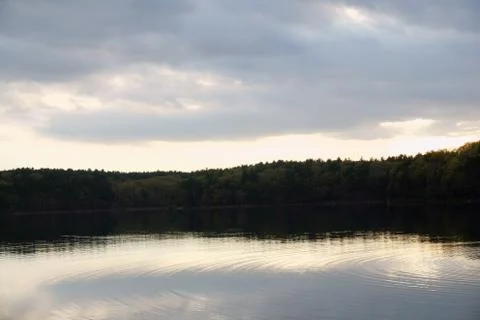 Forest over a lake beyond clouds Stock Photos