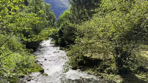 Forest over Mountain with River Mara with Sunlight Stock Footage 264576367