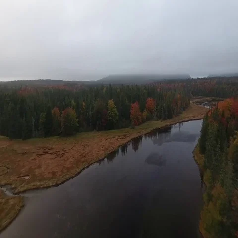 Forest, Overhead Flyover of Winding River I, Autumn Fall, Aerial Vídeos de archivo 69719011
