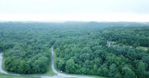 Forest Overhead Pan At Dusk 스톡 동영상 114768853