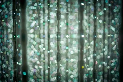 A forest of pale green light Foto stock