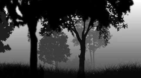 Forest pan Stock Footage 10770418