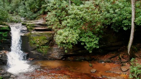 Forest Pan of Waterfall Slow Motion Stock Footage 96753978