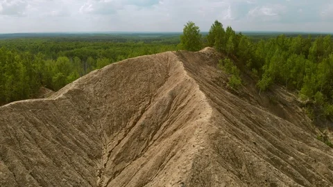 Forest panorama Stock Footage 90198383