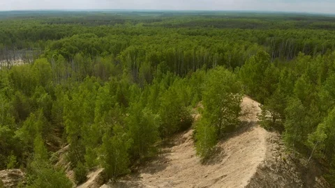 Forest Panorama Vidéo 90198410
