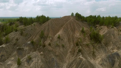 Forest panorama Vidéo 90198480