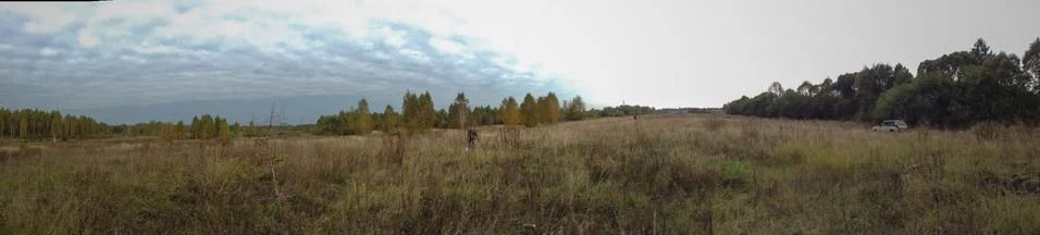 Forest Panorama Stock Photos