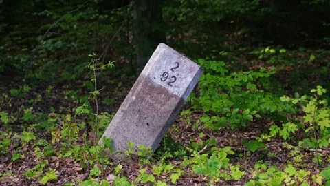Forest Parcel Geodesy Survey Geospatial Marker Post Stock Footage 212707963
