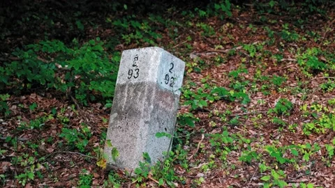 Forest Parcel Geodesy Survey Geospatial Marker Post Stock Footage 212709217