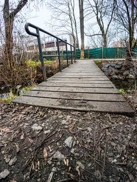 Forest Park with Bridge Over River in Natural Landscape 스톡 사진