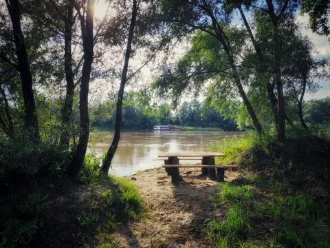 Forest Park with Distant River View 写真素材