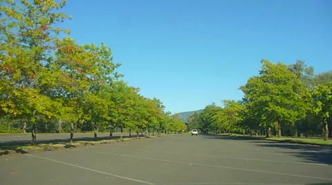 Forest Park Drive Stock Footage 10884332