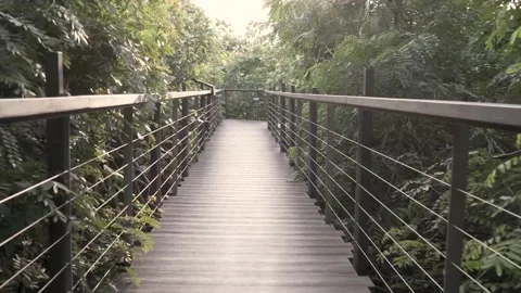 The forest park has a bridge on the trees. 스톡 동영상 156986068