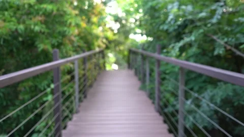 The forest park has a bridge on the trees. 스톡 동영상 157369114