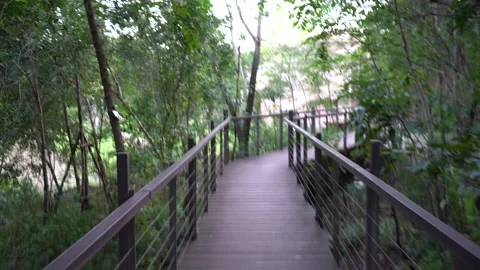 The forest park has a bridge on the trees. 스톡 동영상 157369566