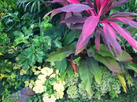 Forest park of Leaf Background Stock Photos