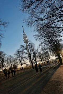 Forest Park Observation Point 스톡 사진