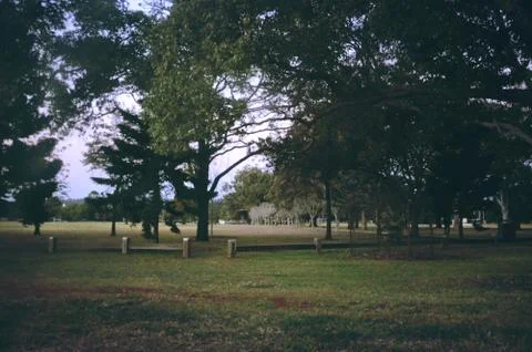 Forest park Stock Photos