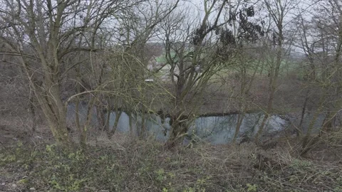 Forest Park River 動画素材 337380596