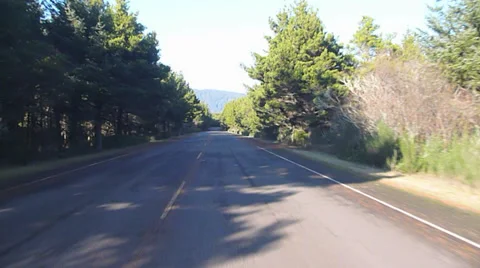 Forest Park Road Stock Footage 34259799