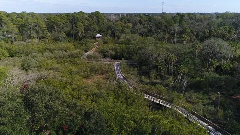 Forest park trail Stock Footage 91800007