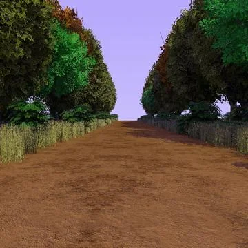 Forest Path 3 3D Model