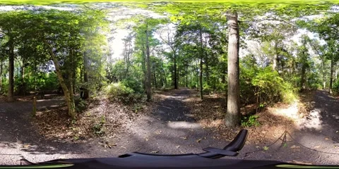 Forest Path 360 Video stock 282319912