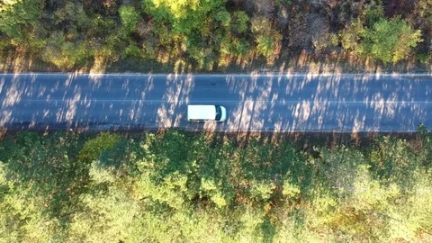 Forest path aerial view Stock Footage 81525065