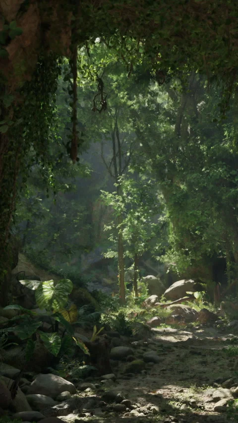 Forest path in the afternoon light with greenery and rocks near a stream Stock Footage 342701915