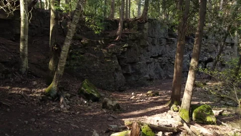 A forest path along the base of a small cliff face Stock Footage 154012094