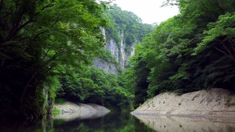 Forest Path Along Mountain River – Japan Stock Footage 309622982