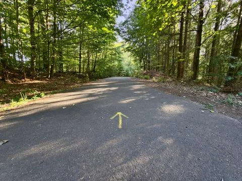 Forest path arrow yellow marker guides trail through sunlit woodland on asp.. Stock Photos