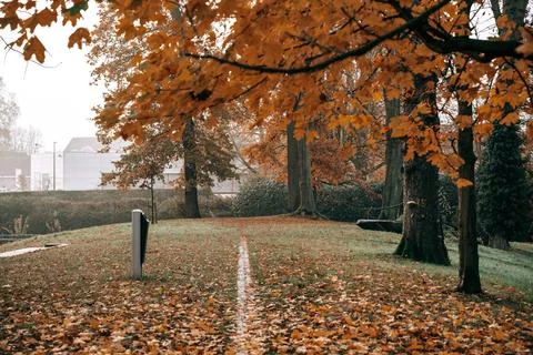 Forest path in autumn Stock Photos