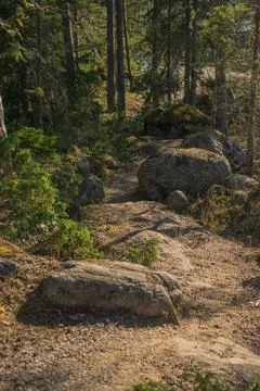 Forest path between rocks. Close-up. high quality photo. Finnish nature Stock Photos