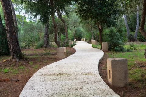 Forest path in cloudy Stock Photos