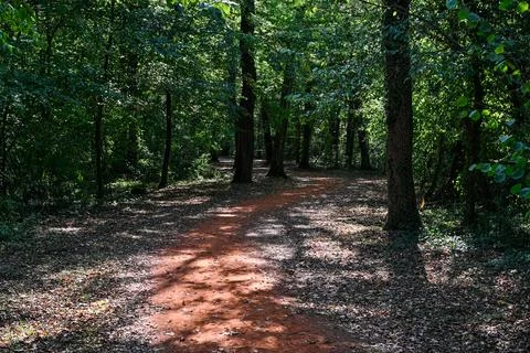 Forest path with distant yellow trail sign Stock Photos