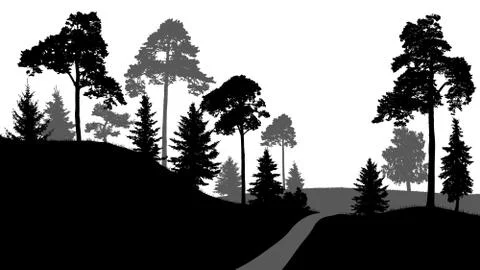 Forest path, exit from the forest. Trees silhouette vector, on white backgrou 스톡 일러스트