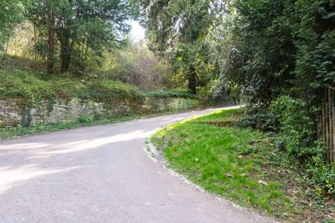Forest Path Foliage Bright Beautiful Day Outdoors Wildlife Park Destination G Stock Photos