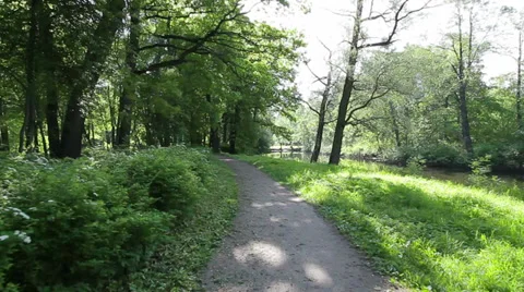 Forest path Stock Footage 35699828