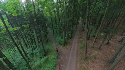 Forest path fork junction with cyclist entry down left trail Vídeos de archivo 340772432