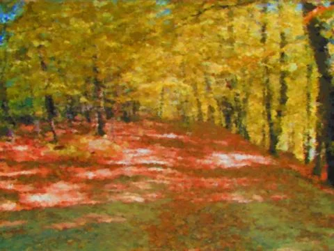 Forest path Stock Illustration