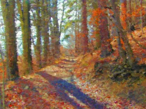 Forest path Stock Illustration