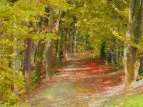 Forest path Stock Illustration