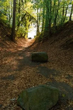 Forest path with large stones in spring, Czech Republic Stock Photos