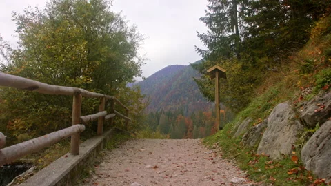 Forest path leading to a lake surrounded by forest Stock Footage 258930308