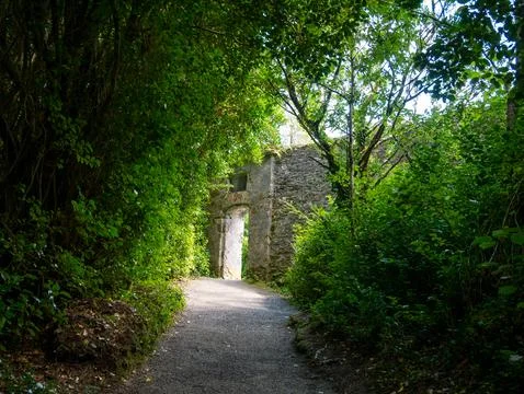 Forest Path Leading to Old Stone Ruins Фото