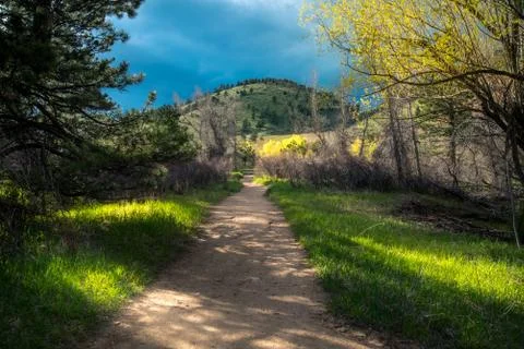 Forest path leading out of a forest. Stock Photos