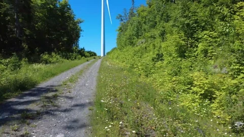 A forest path leads to a few wind turbines perched atop verdant mountains. Stock Footage 317702791